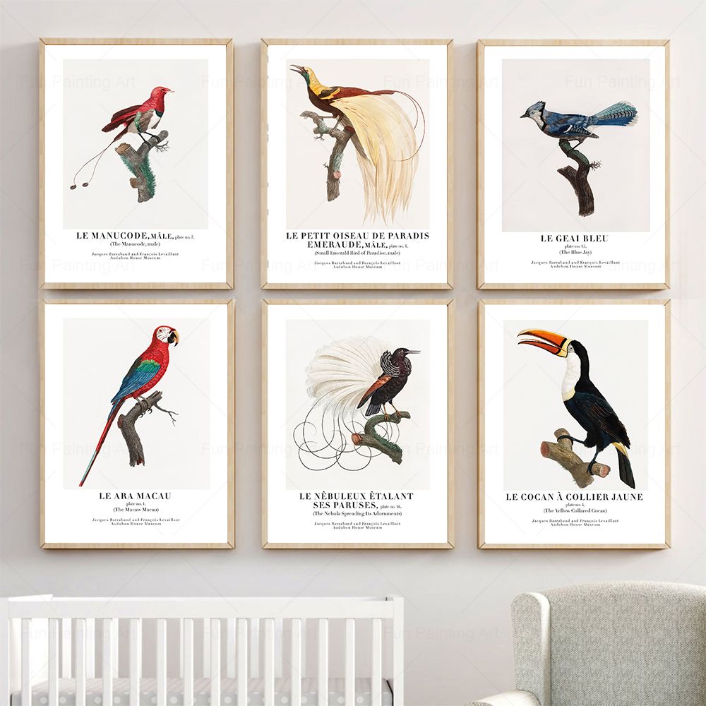 Vintage Paradise Bird Wall Art - مراجعة Furniture Paradise & Hardware Ghaziabad Photos وسعره
