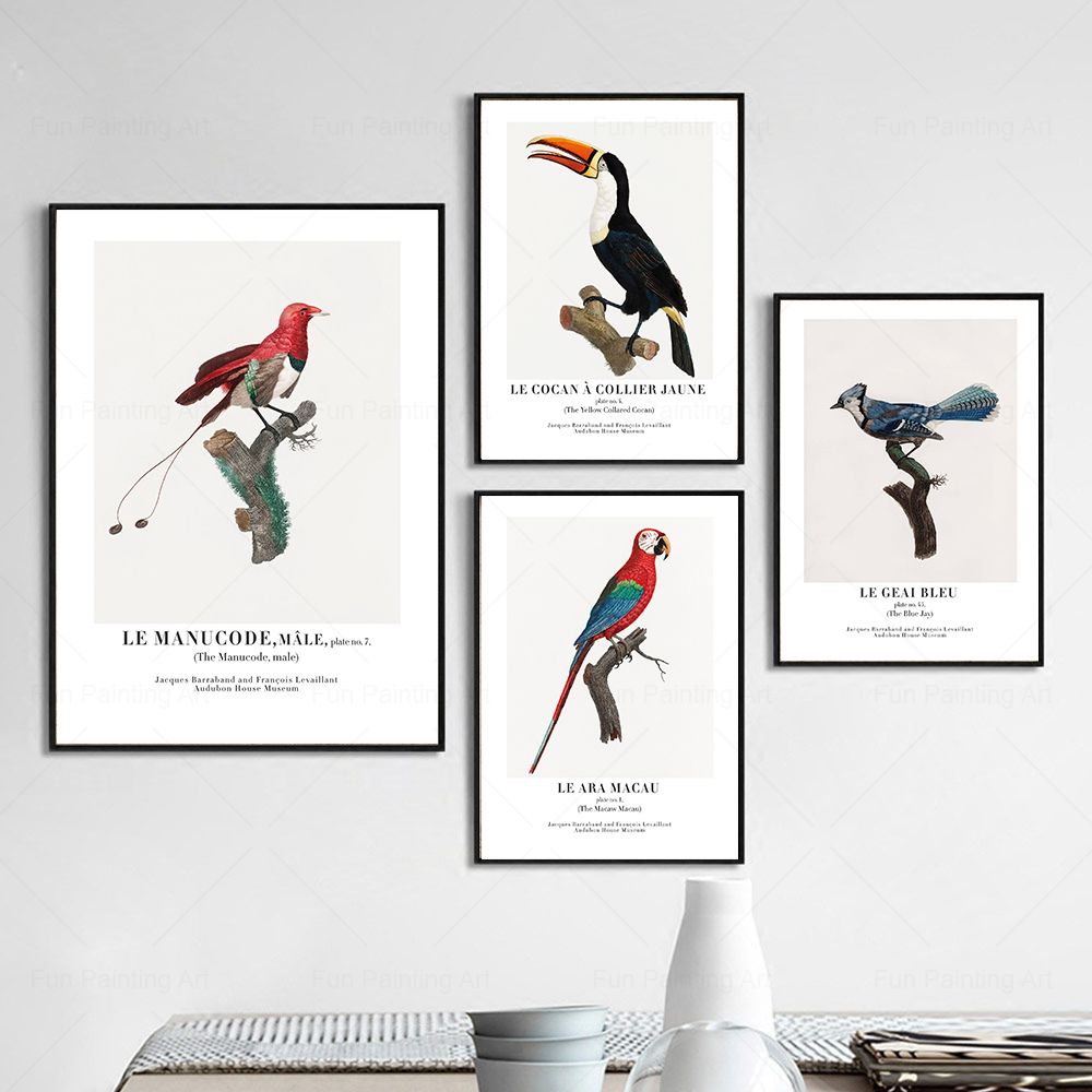 Vintage Paradise Bird Wall Art - مراجعة Furniture Paradise & Hardware Ghaziabad Photos وسعره