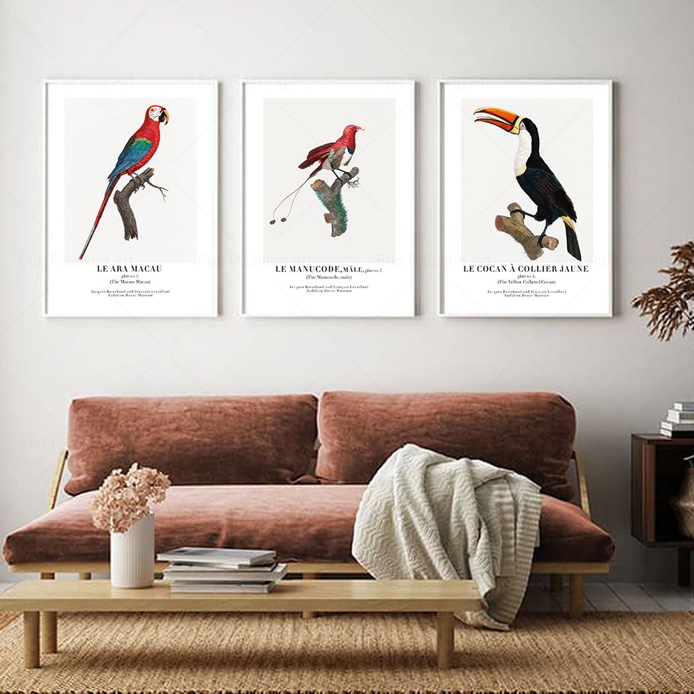 Vintage Paradise Bird Wall Art - مراجعة Furniture Paradise & Hardware Ghaziabad Photos وسعره