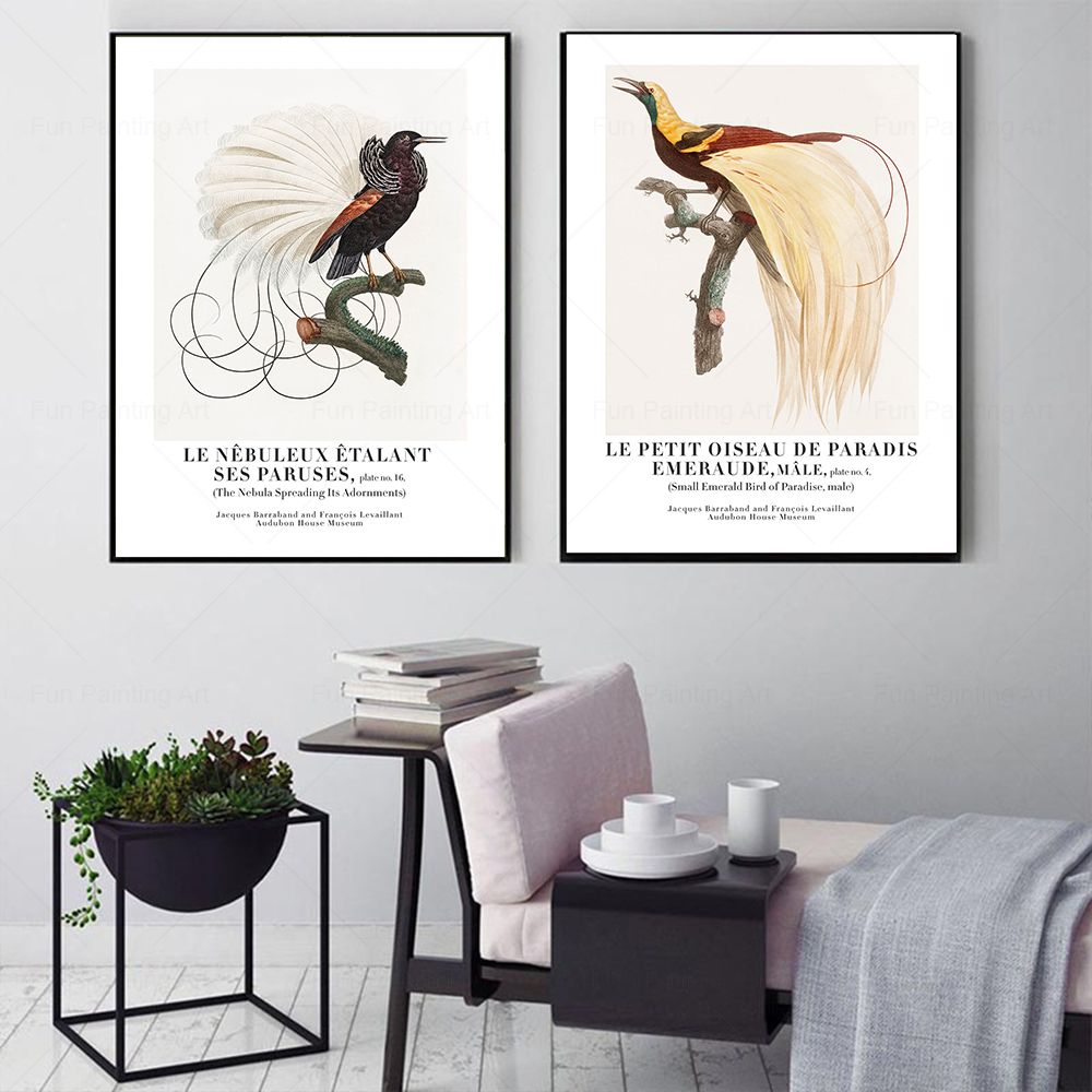 Vintage Paradise Bird Wall Art - مراجعة Furniture Paradise & Hardware Ghaziabad Photos وسعره