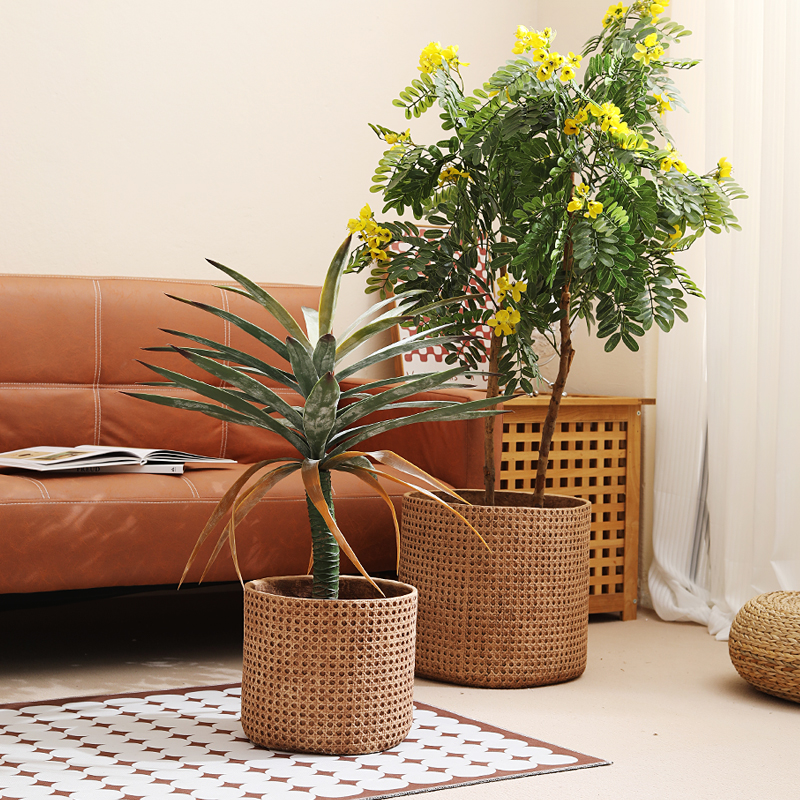 Furniture for small-sized apar - مراجعة Furniture Paradise & Hardware Ghaziabad Photos وسعره