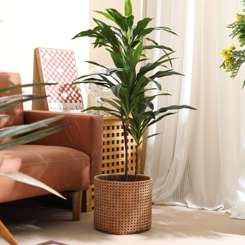 Furniture for small-sized apar - مراجعة Furniture Paradise & Hardware Ghaziabad Photos وسعره